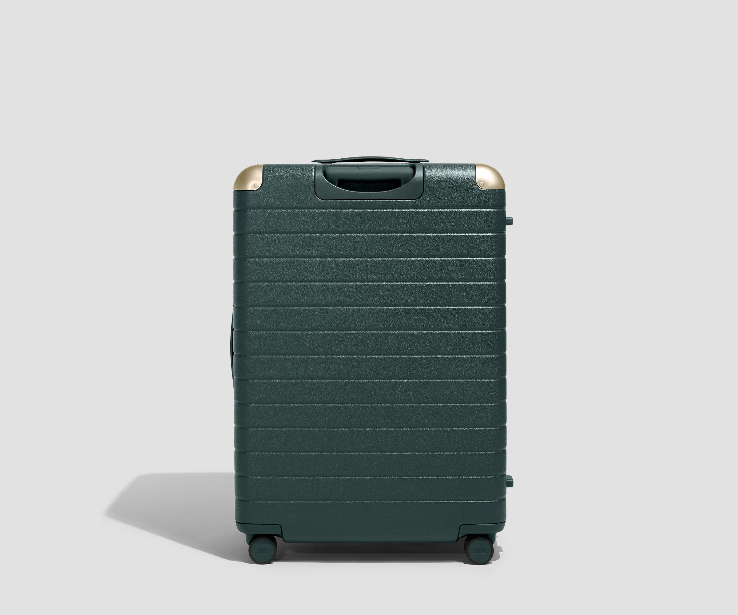 The Aluminum Edge Large in Ivy Green - Image 7