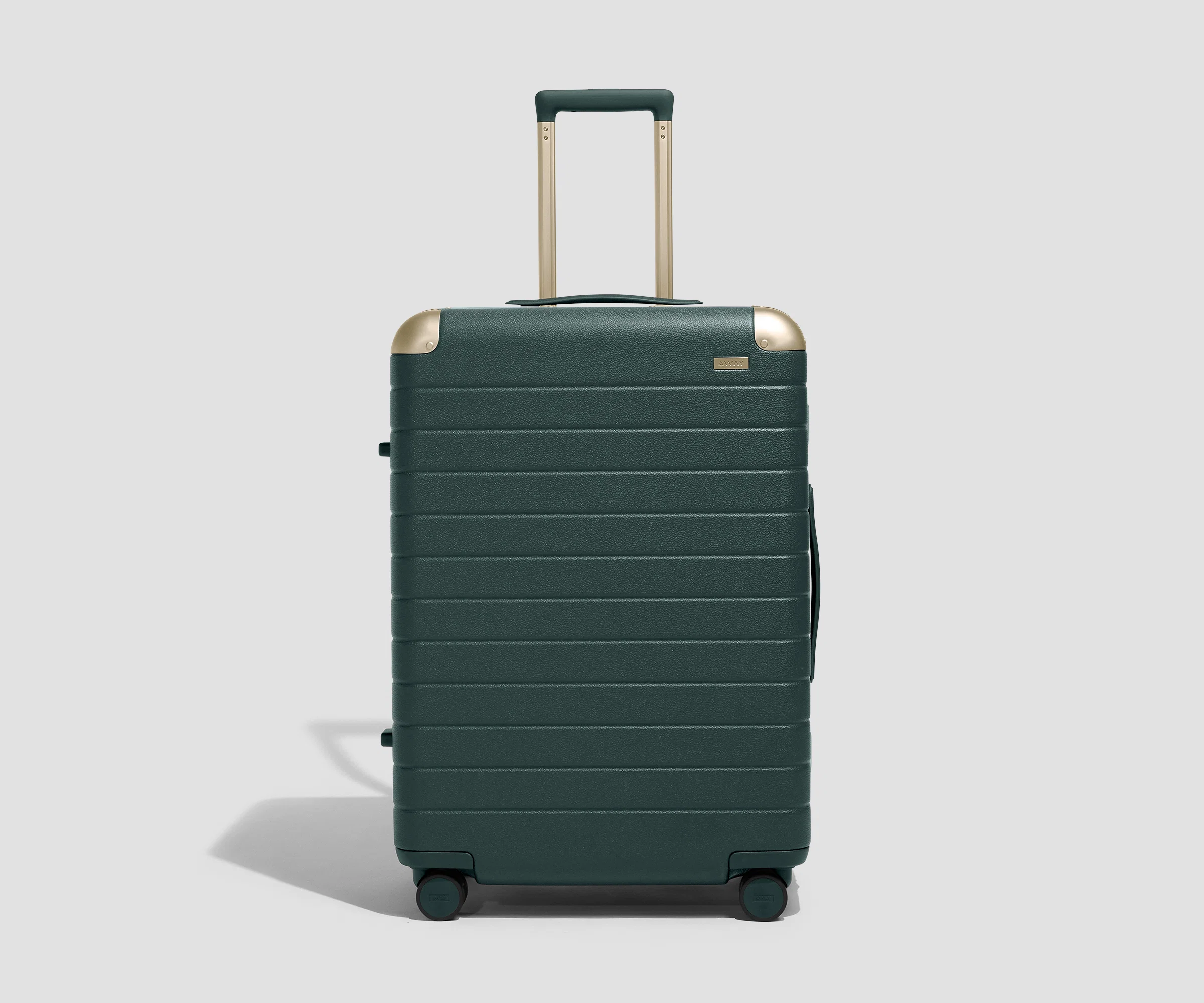 The Aluminum Edge Medium in Ivy Green - Image 2