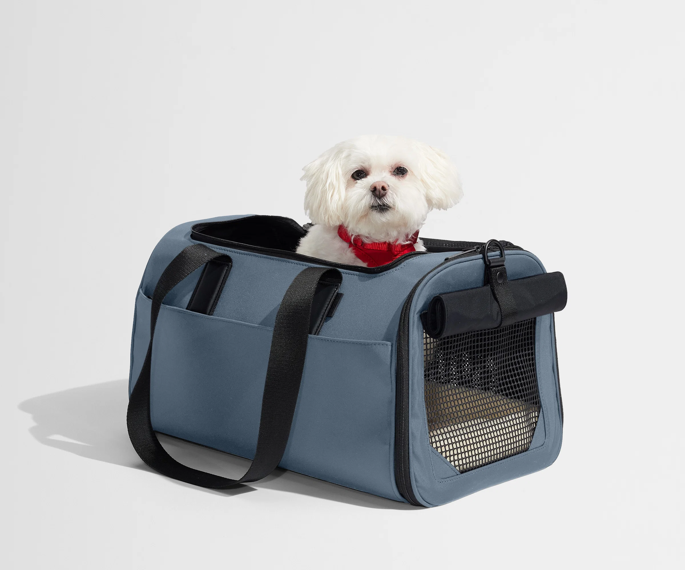 The Pet Carrier in Coast Blue - Image 4