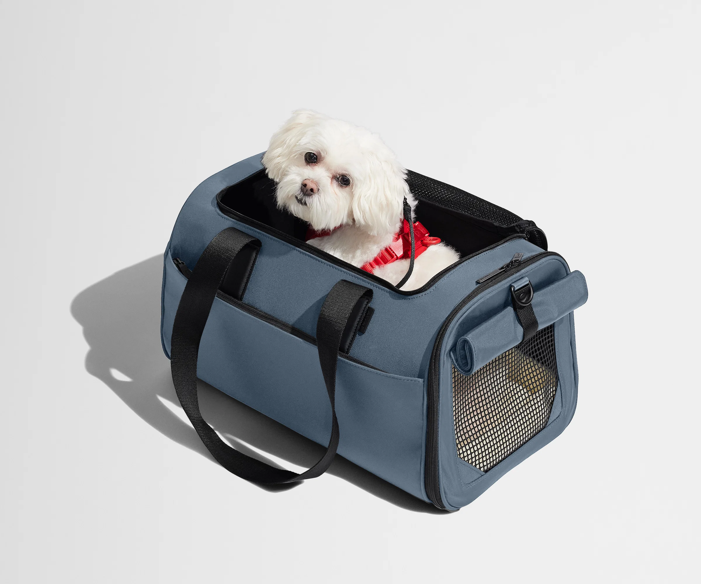 The Pet Carrier in Coast Blue - Image 8