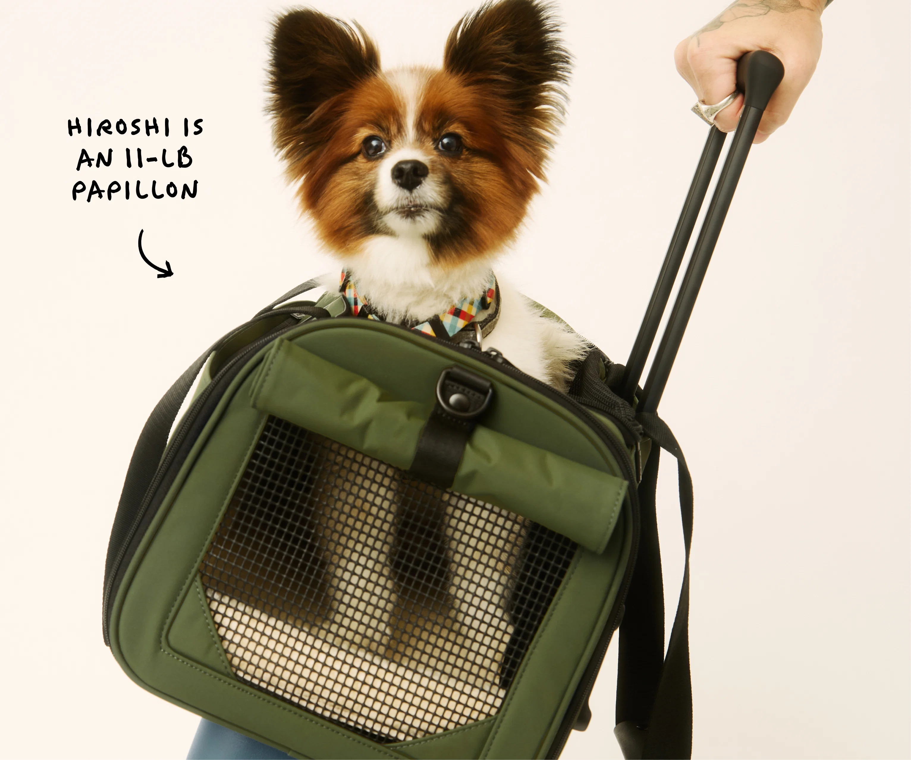 The Pet Carrier in Olive Green - Image 10