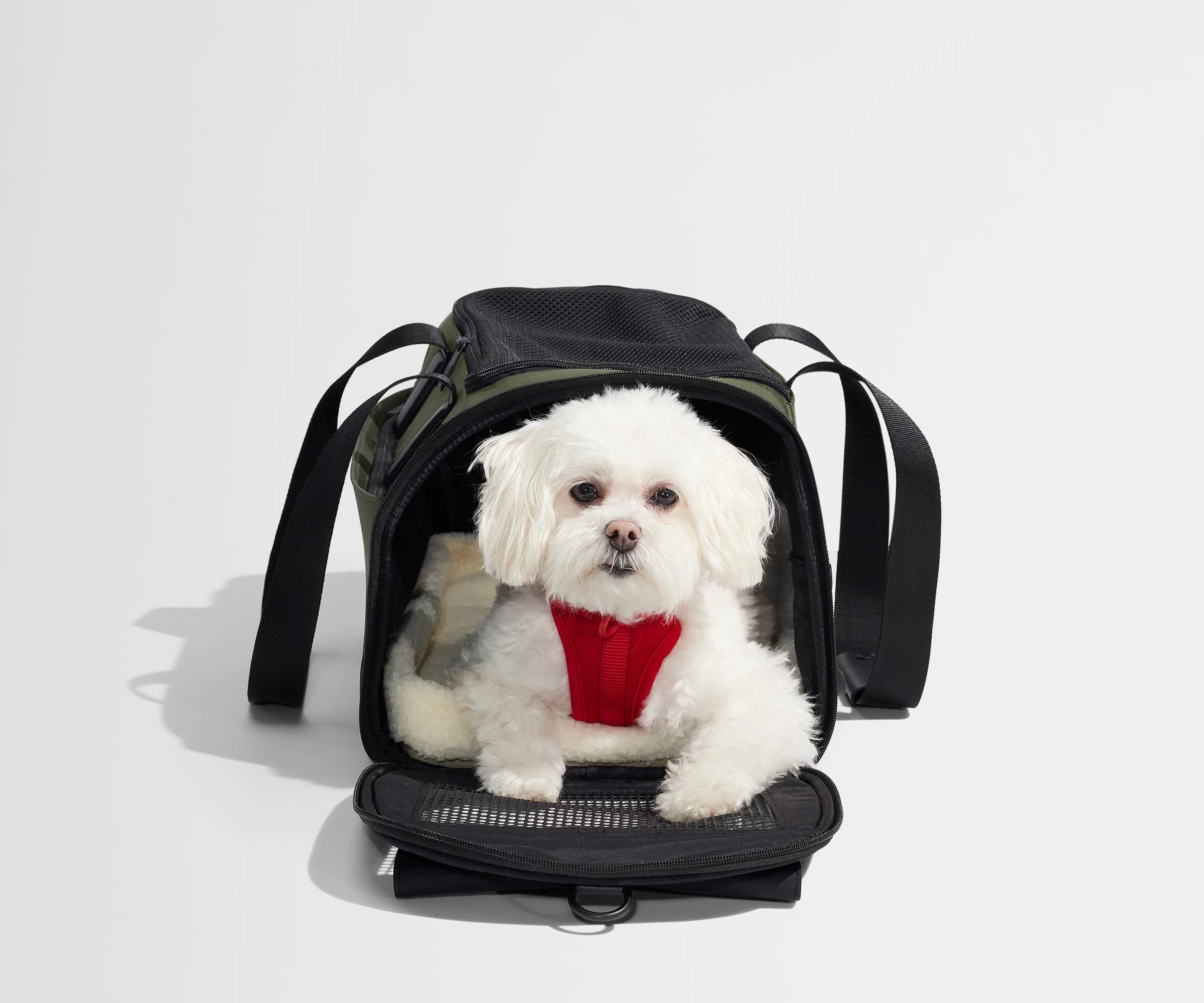 The Pet Carrier in Olive Green - Image 8
