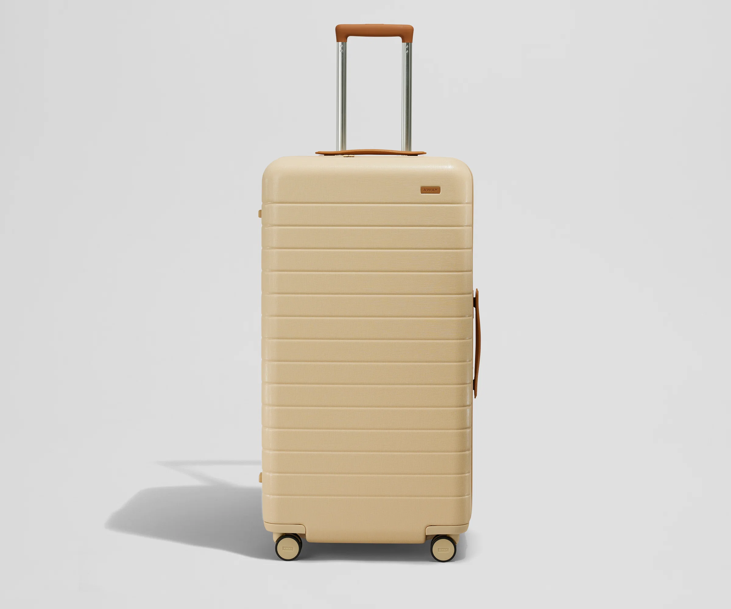 The Trunk - Image 20